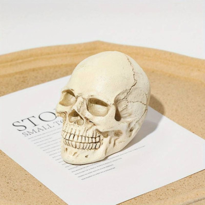 Dekoracija 3D kaukolė Mini Skull White; 7.5x10x7cm Dekoracija 3D kaukolė Mini Skull White; 7.5x10x7cm