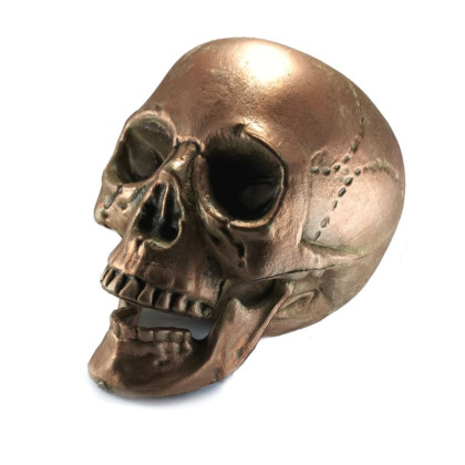 Dekoracija 3D kaukolė Air Skull Copper; 18x16x15cm Dekoracija 3D kaukolė Air Skull Copper; 18x16x15cm
