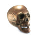 Dekoracija 3D kaukolė Air Skull Copper; 18x16x15cm