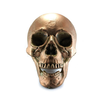 Dekoracija 3D kaukolė Air Skull Copper; 18x16x15cm Dekoracija 3D kaukolė Air Skull Copper; 18x16x15cm
