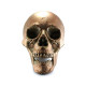 Dekoracija 3D kaukolė Air Skull Copper; 18x16x15cm