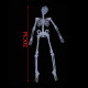 Dekoracija Skeleton sviecianti tamsoje; 30cm