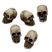 Dekoracija 3D kaukolės Mini Mini Skull; 5vnt