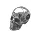 Kaklo papuošalas Shine Skull sidabro spalvos; 2.5x1.5cm