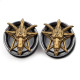 Auskarai tuneliai Faunas Gold, 2 vnt; 8mm, 10mm, 12mm, 14mm, 16mm