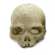 Reptile Nova Skull dekoracija kaukolė terariumui, akvariumui; 11x14cm