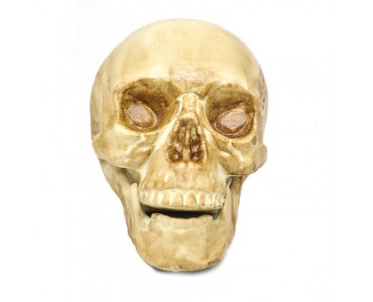 Dekoracija 3D kaukolė Air Skull Classic; 18x16x15cm