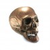 Dekoracija 3D kaukolė Air Skull Copper; 18x16x15cm