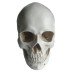 Dekoracija 3D Skull žmogaus kaukolė; 19x16x20cm