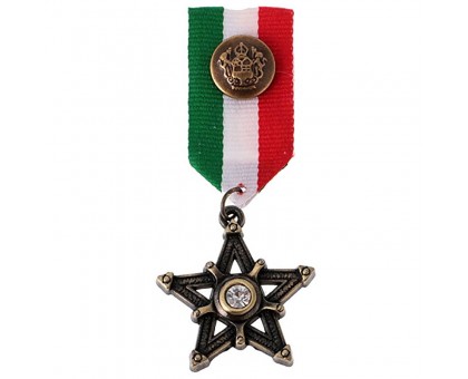 Medalis Crystal Star, 8x3cm